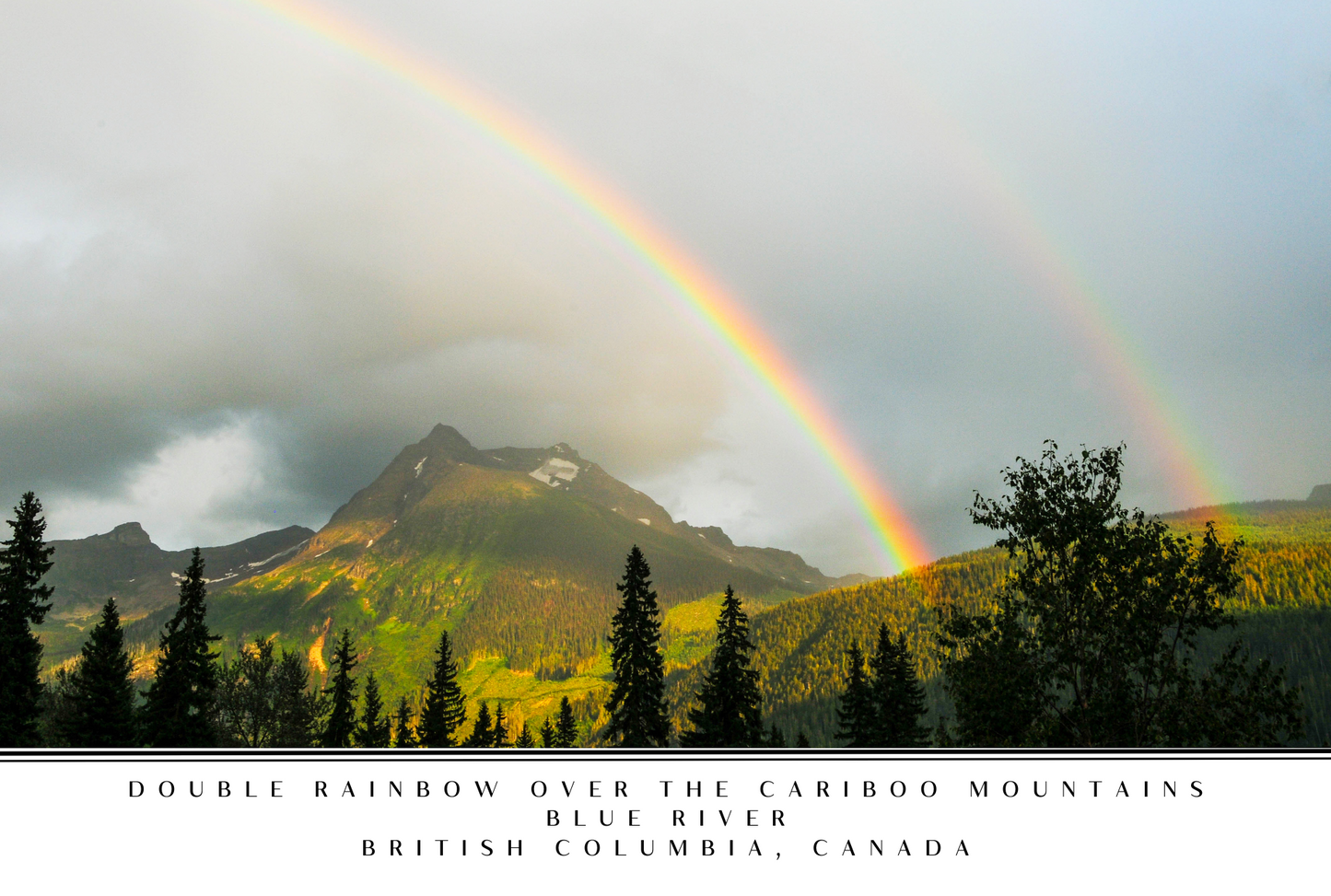 Wells Gray Postcard