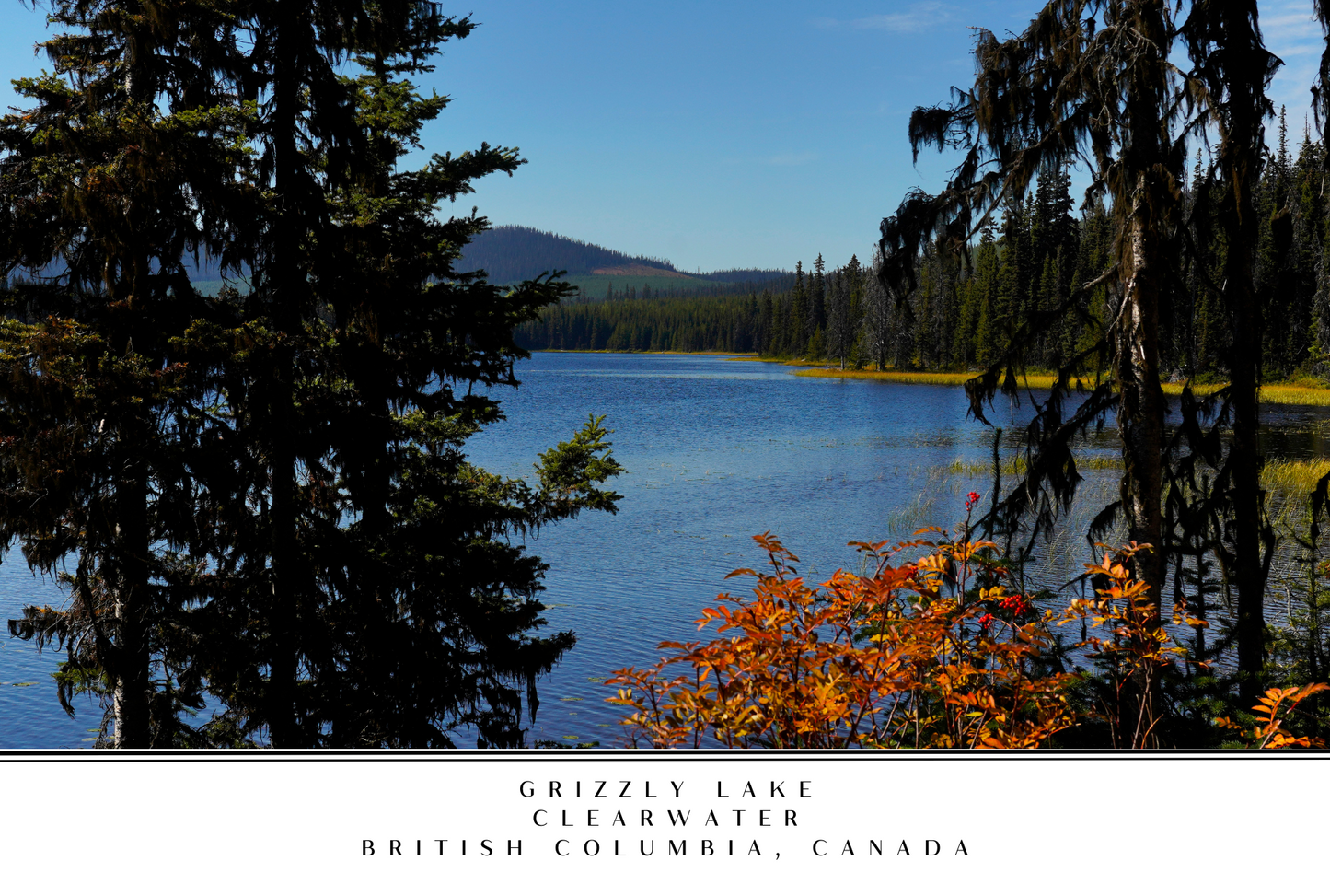 Wells Gray Postcard