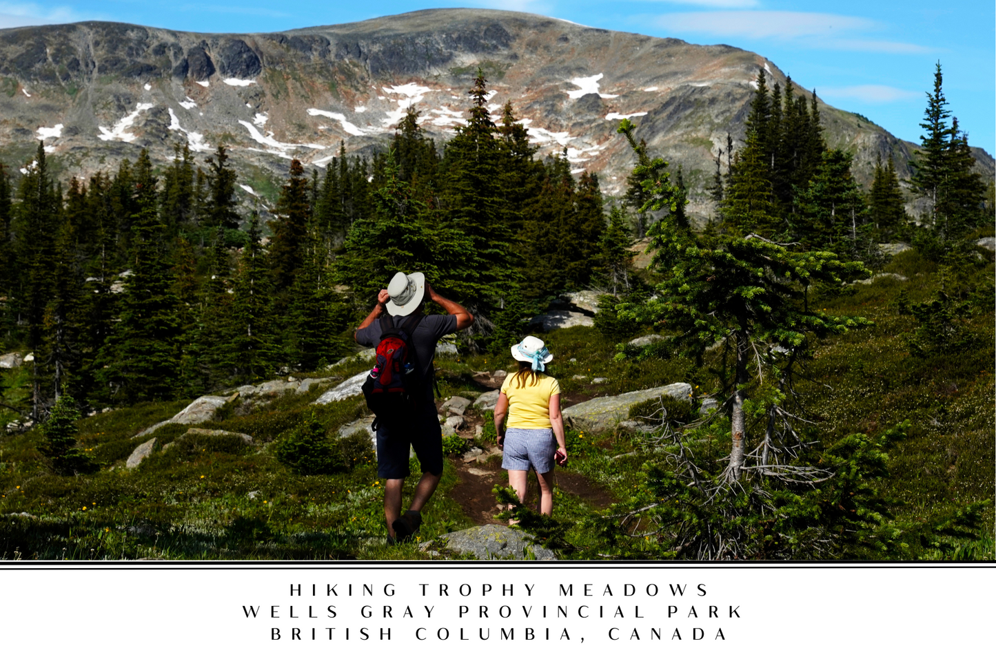 Wells Gray Postcard