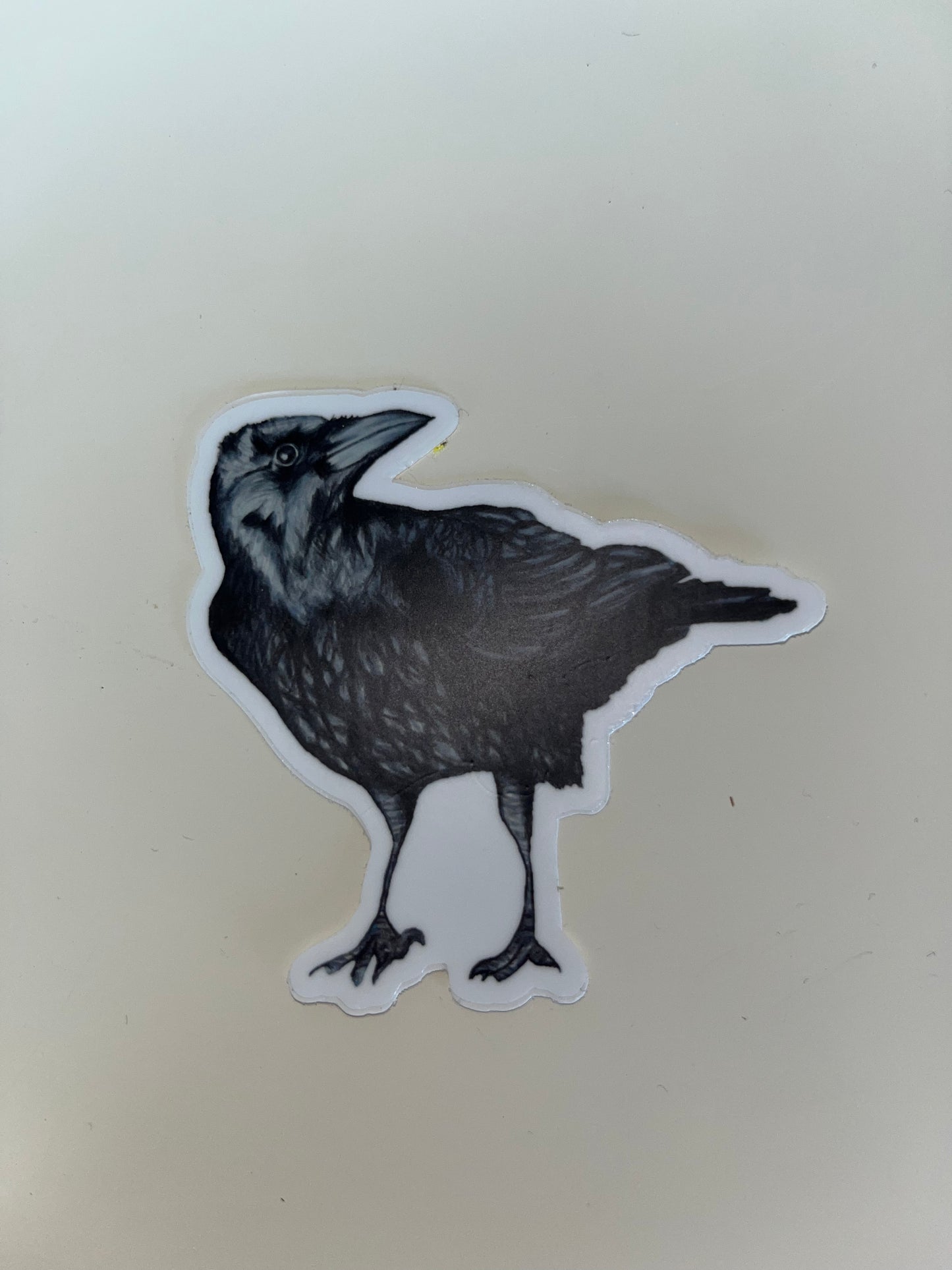 Crow Sticker