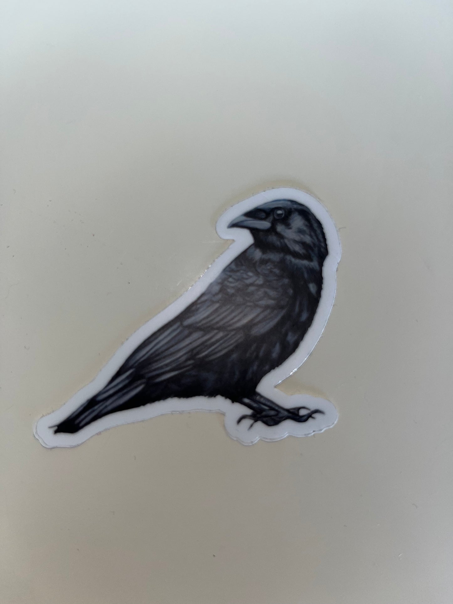 Crow Sticker