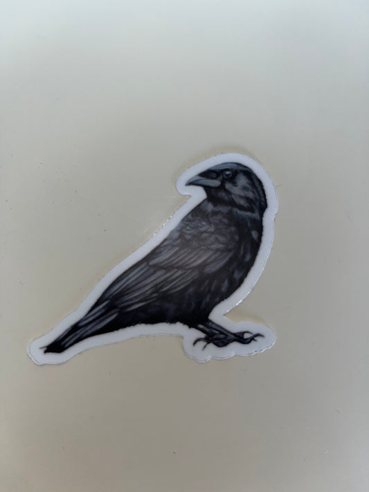 Crow Sticker