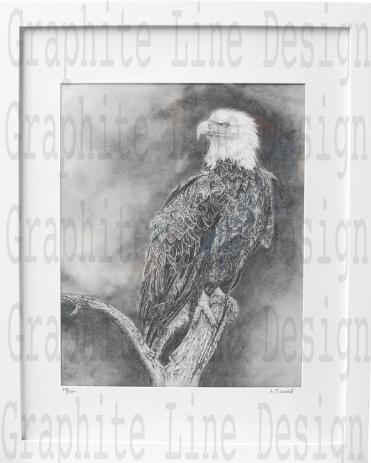 Eagle Print by Laura Tisdale