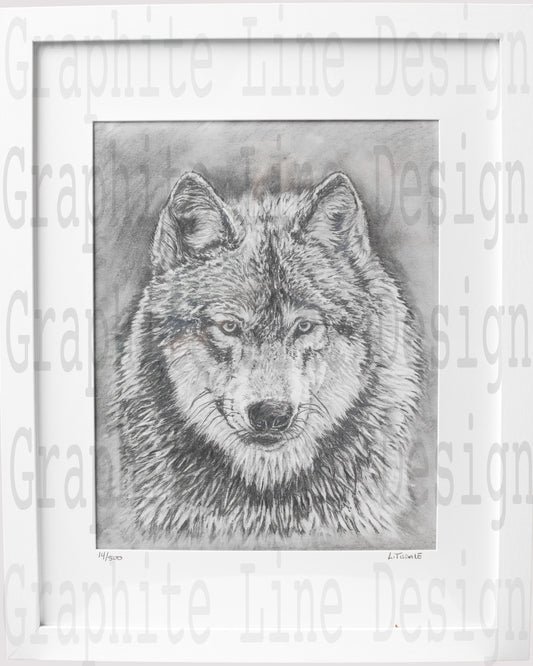 Wolf Print by Laura Tisdale