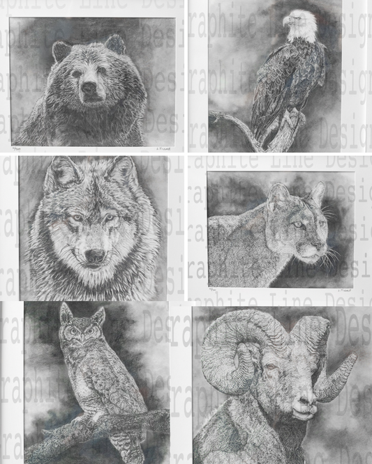 Complete Print Collection (6) by Laura Tisdale