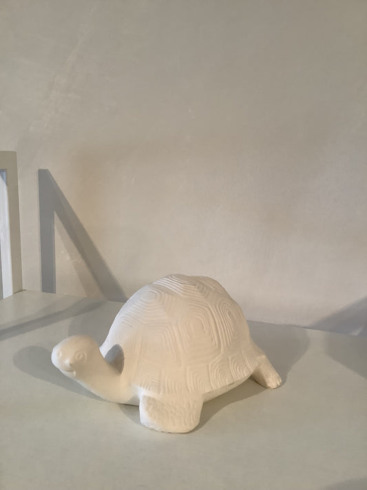 Turtle Friend Ceramic Bisque