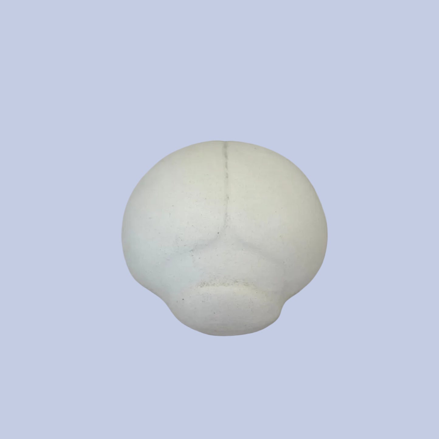Ladybug Ceramic Bisque