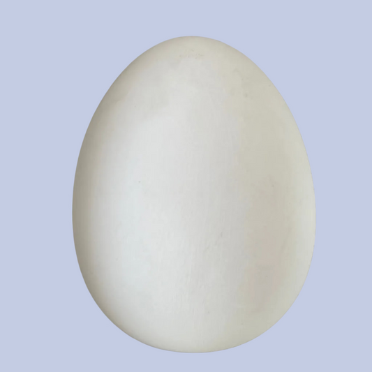 Large Egg Ceramic Bisque