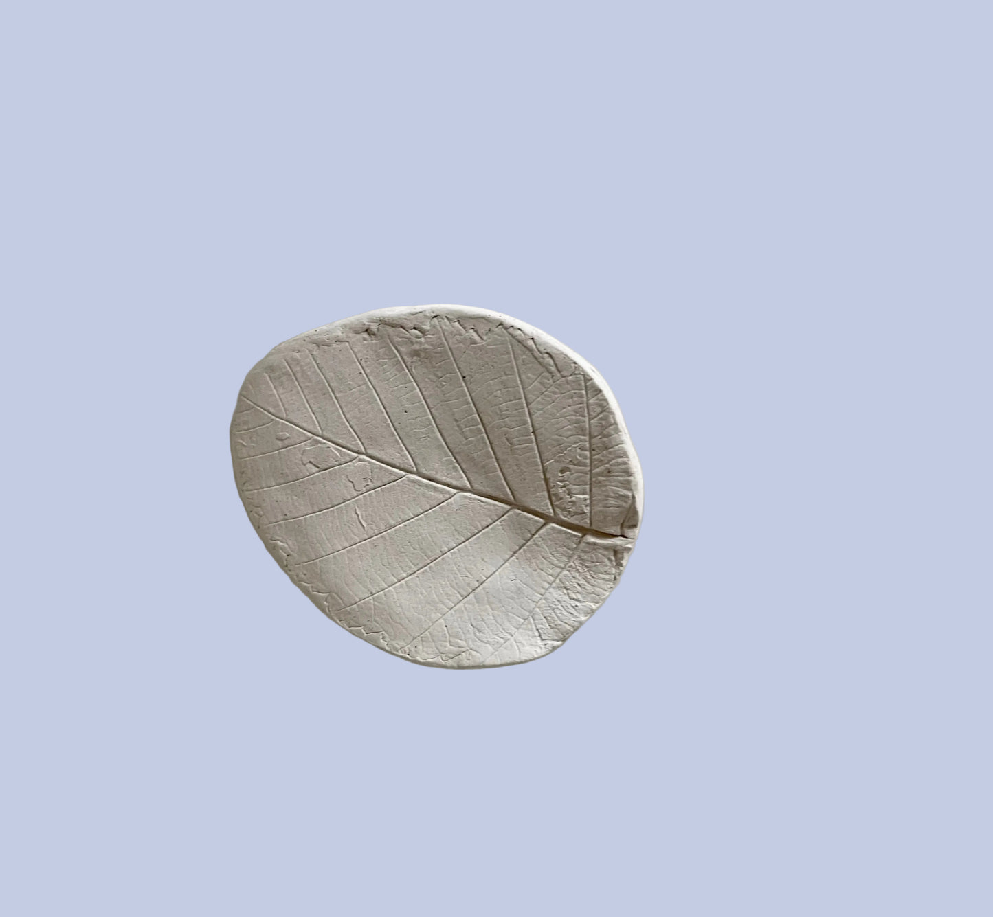 Leaf Imprint Ceramic Bisque