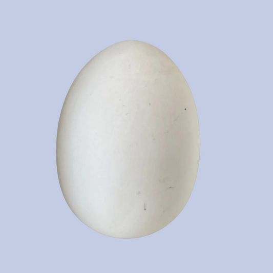 Medium Egg Ceramic Bisque