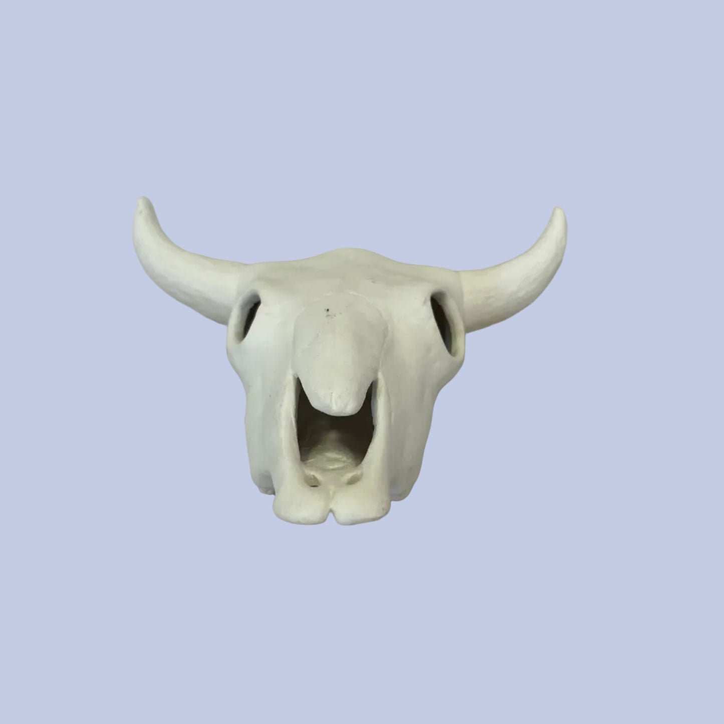 Mini Cow Skull Ceramic Bisque