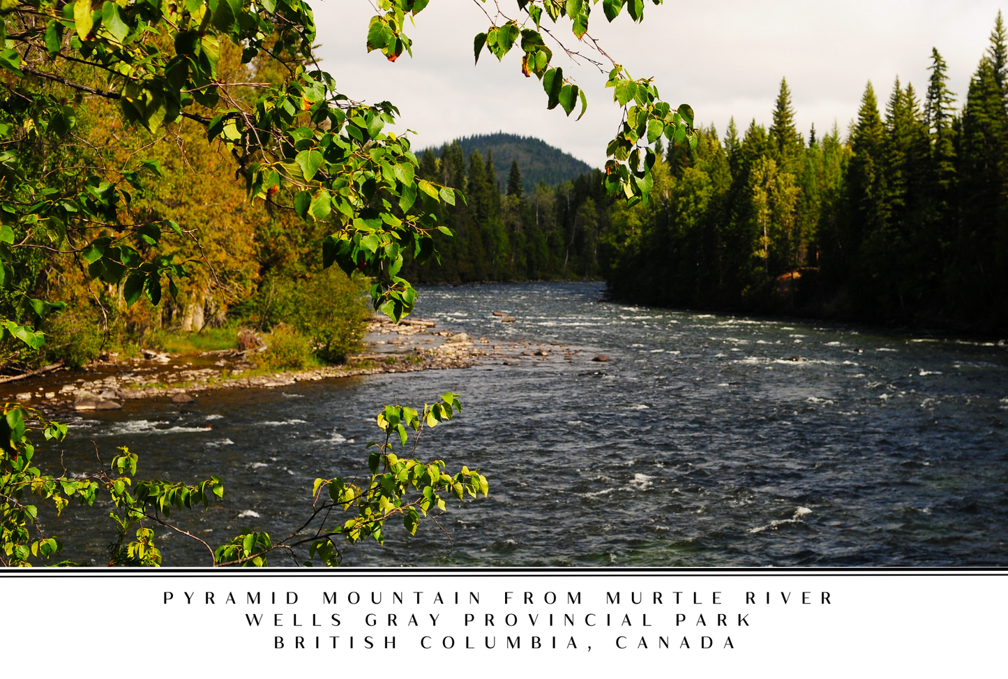 Wells Gray Postcard