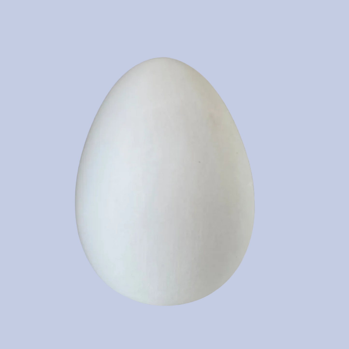 Small Egg Ceramic Bisque