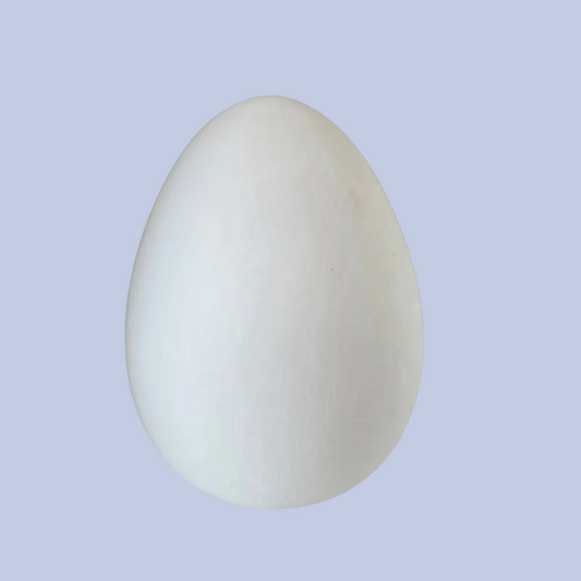 Small Egg Ceramic Bisque