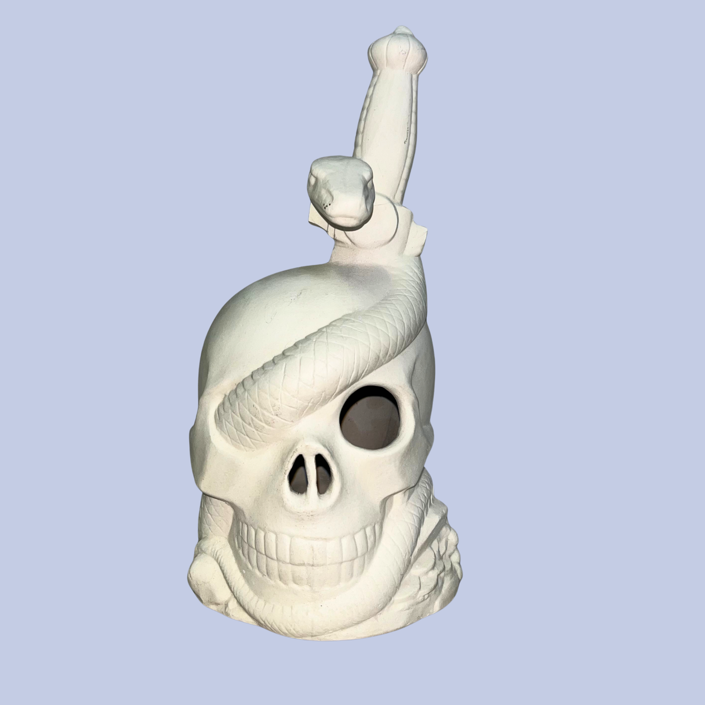 Snake & Skull Ceramic Bisque