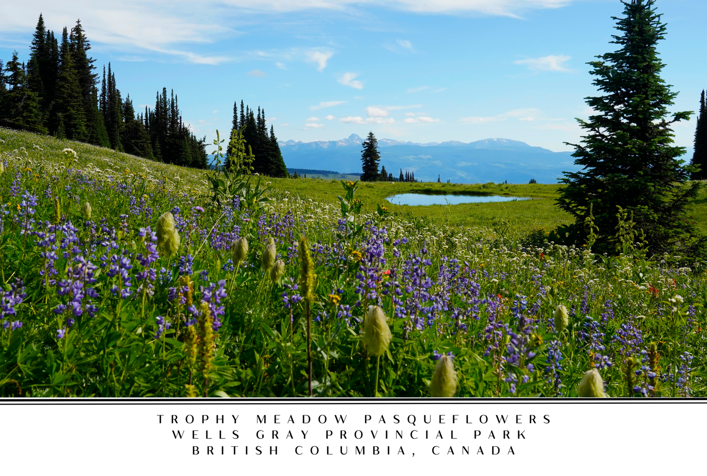 Wells Gray Postcard