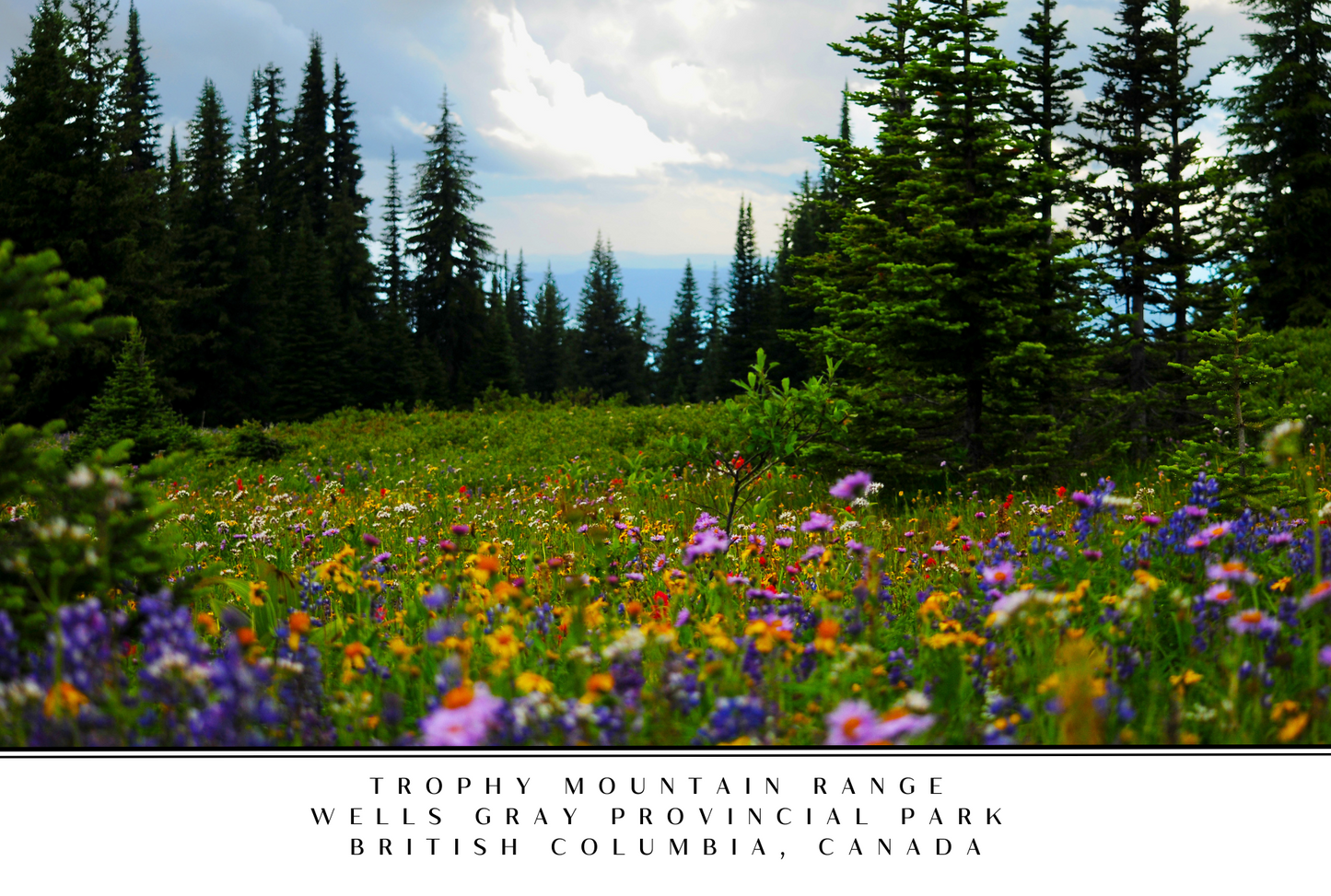 Wells Gray Postcard