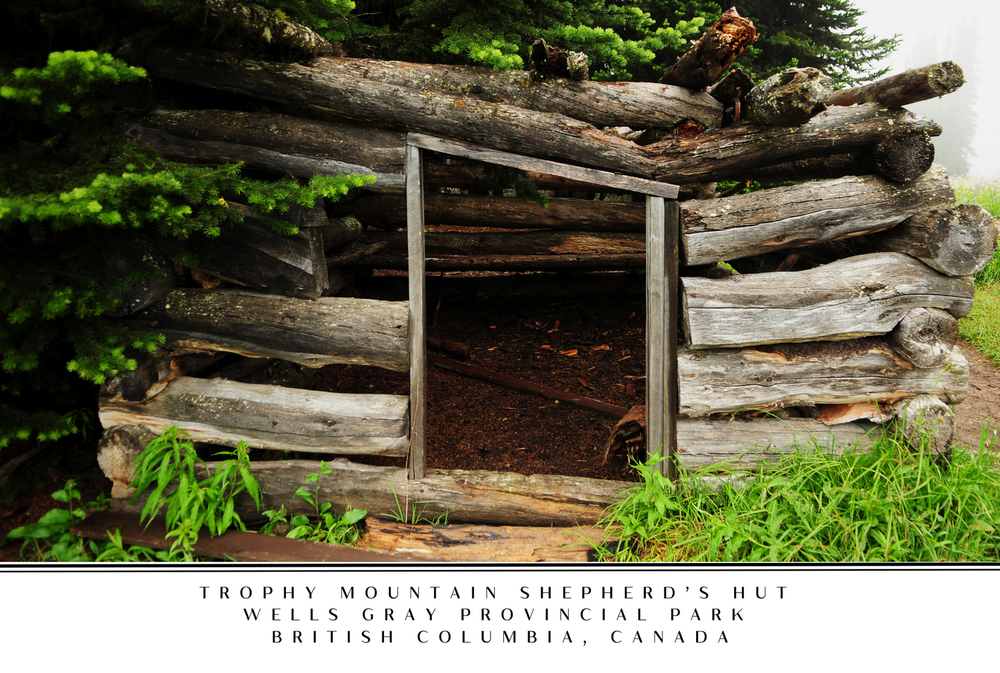 Wells Gray Postcard