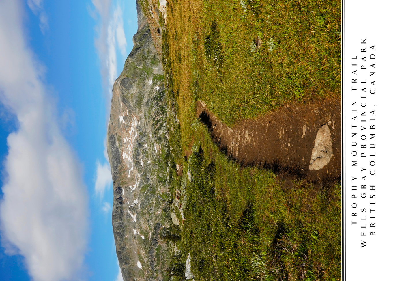 Wells Gray Postcard
