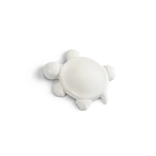 Turtle Bisquies Ceramic Bisque