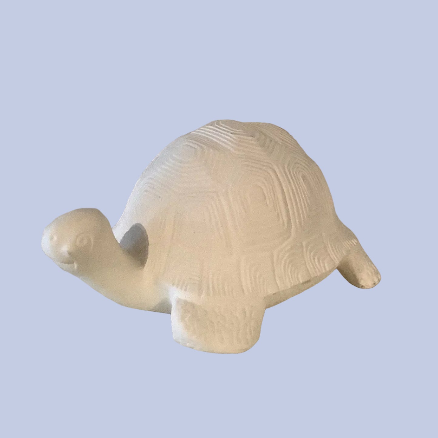 Turtle Friend Ceramic Bisque