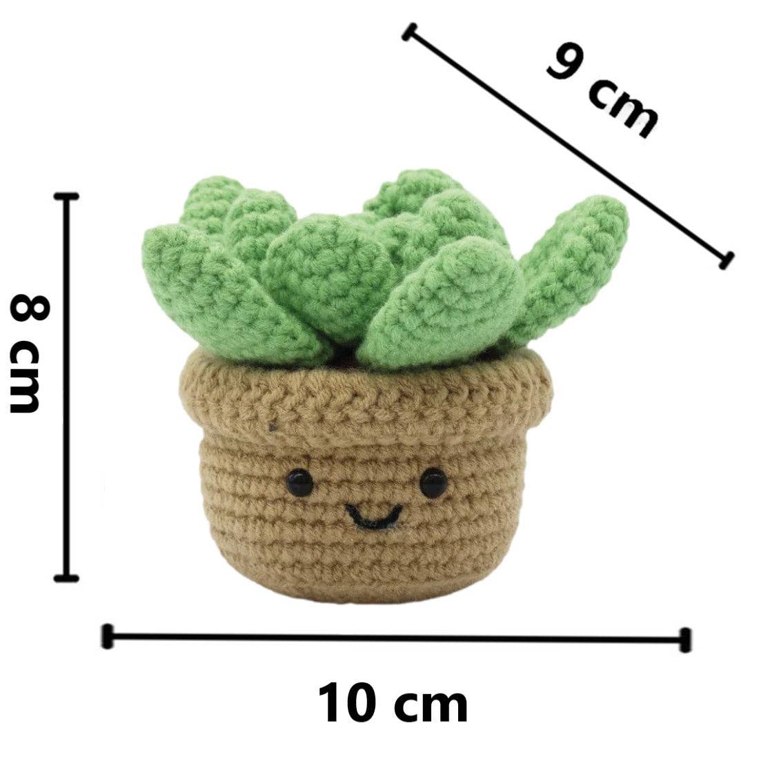 Succulent Crochet Kit