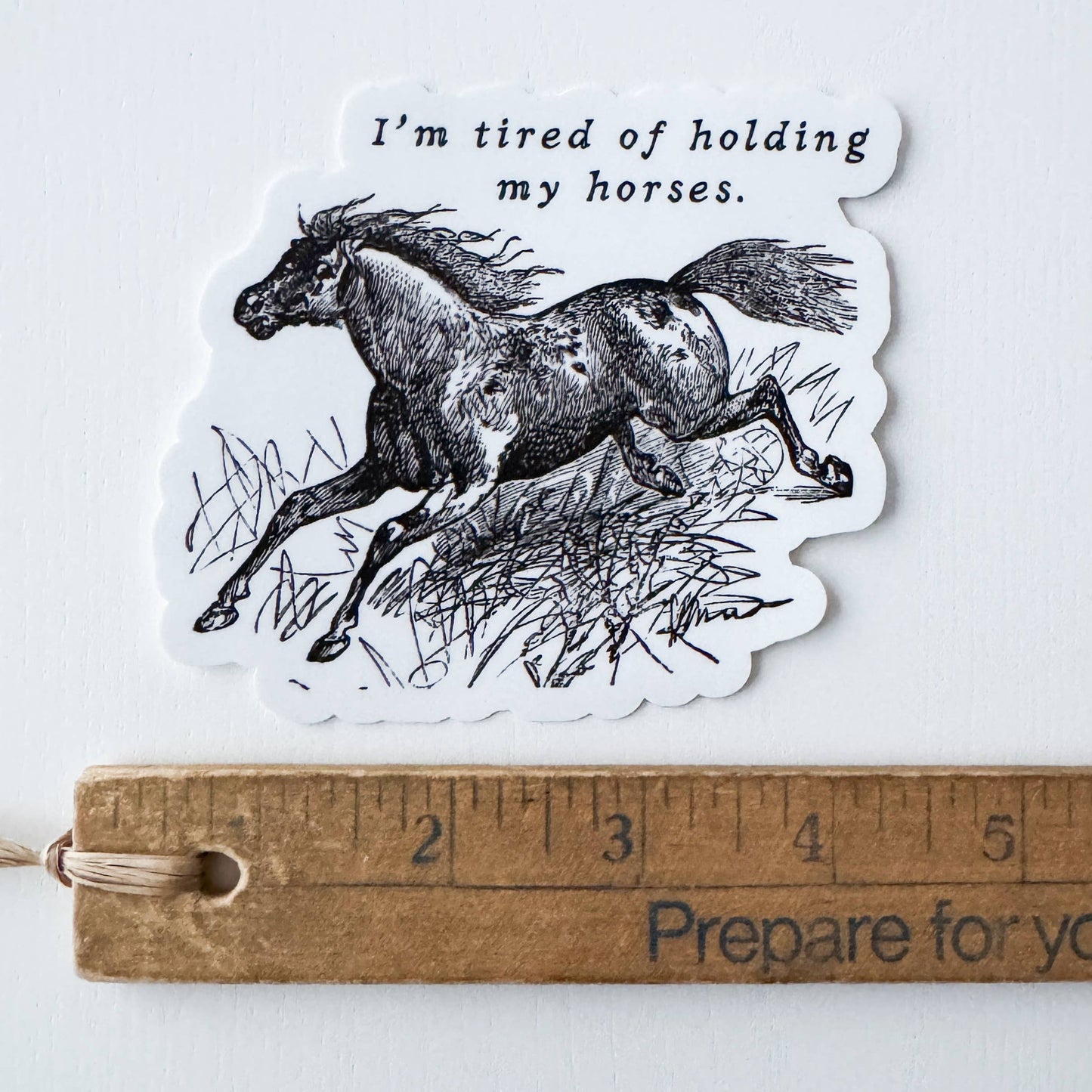 Holding My Horses Sticker