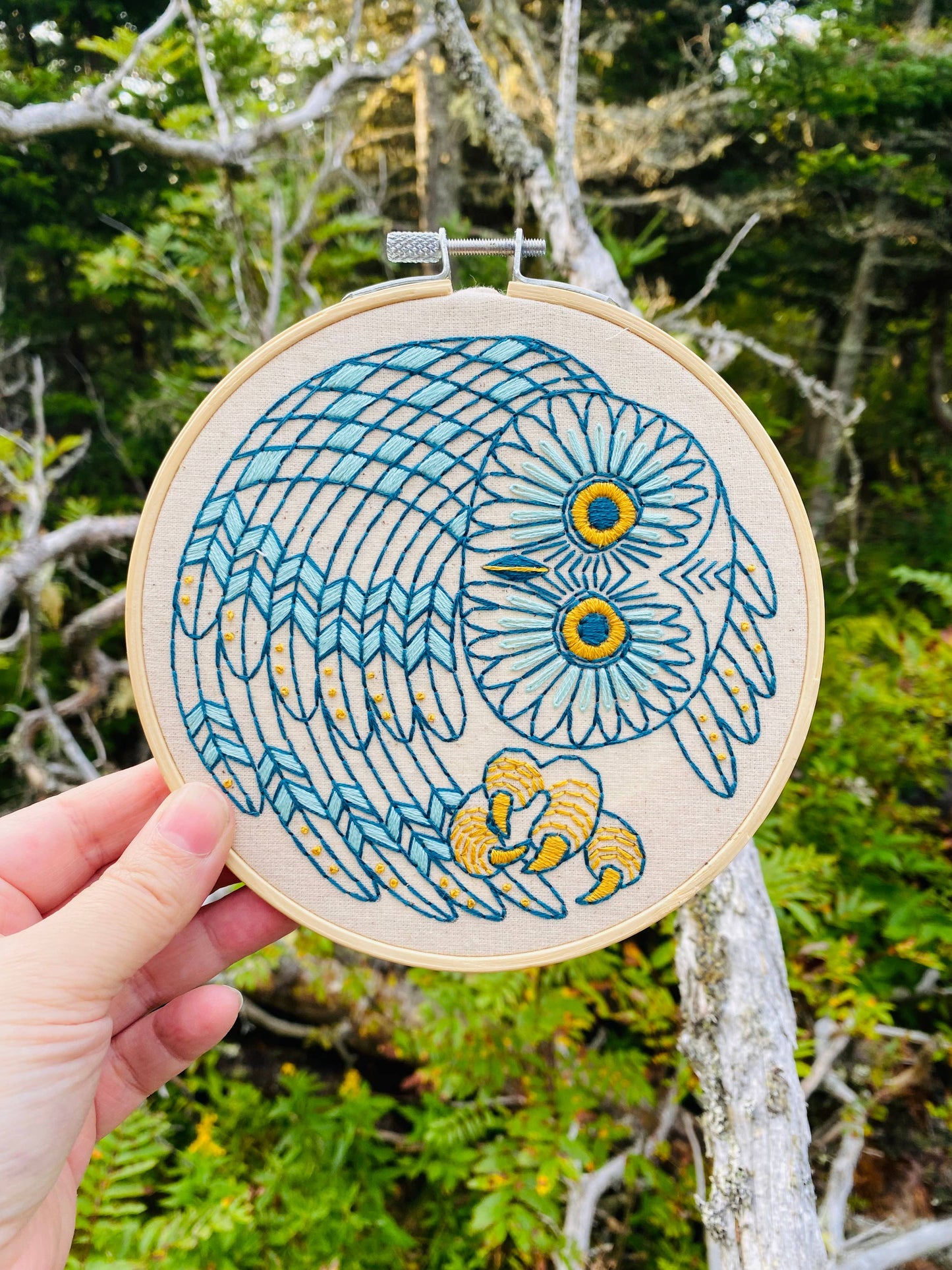 Saw Whet Owl Embroidery Kit