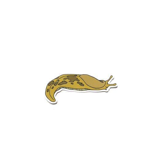 Small Curvy Slug Sticker