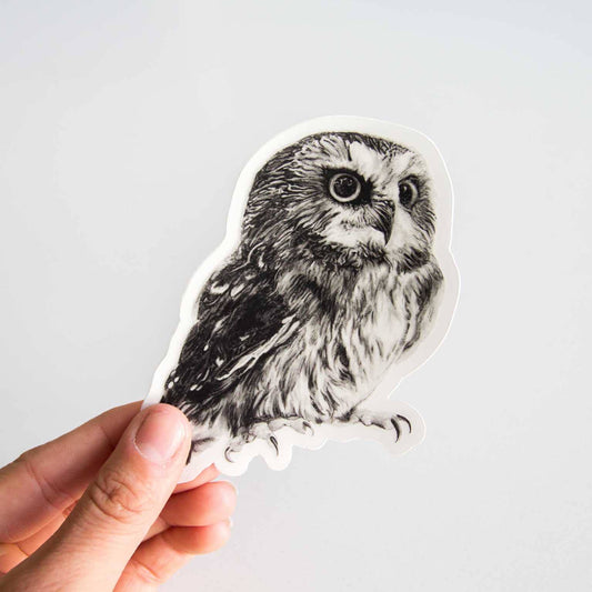 Owl Sticker