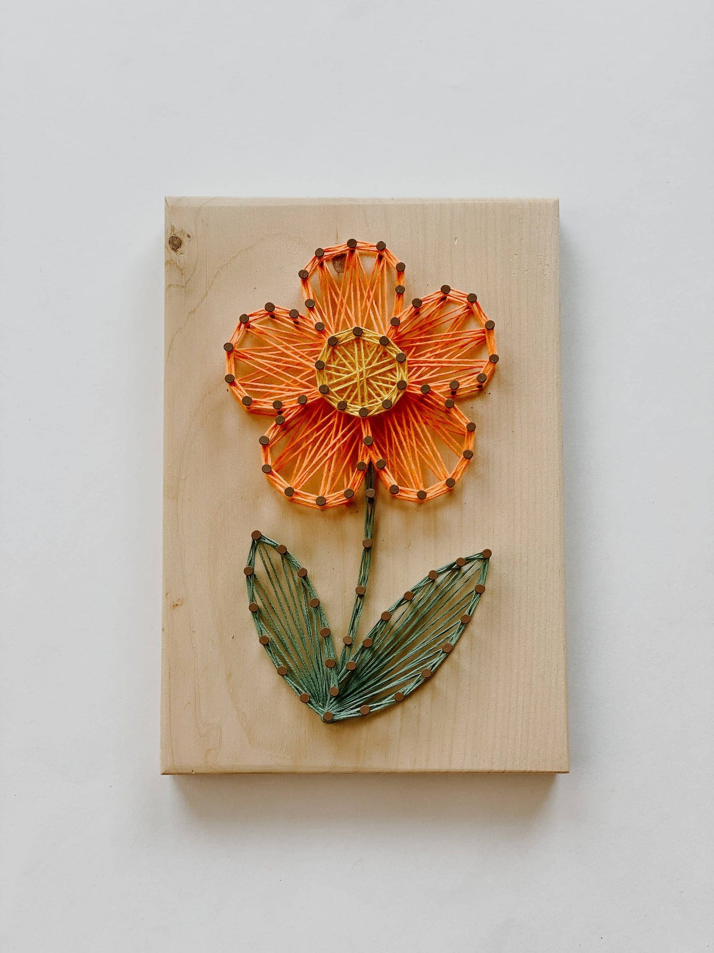 Orange Daisy String Art (DIY Kit)