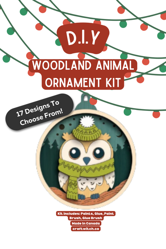 Owl Winter Wonderland DIY Acrylic Ornament Kit