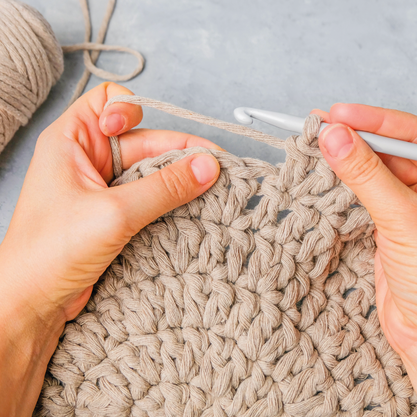 Succulent Crochet Kit