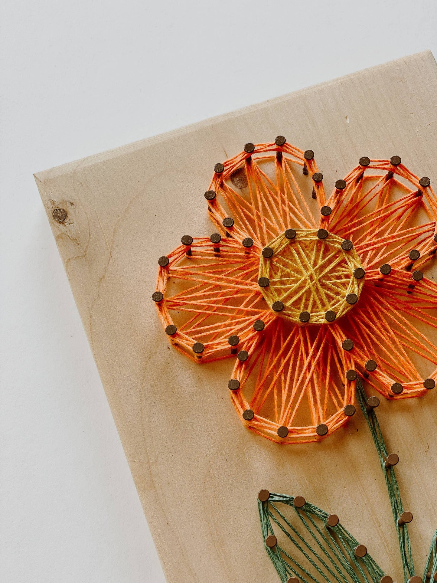 Orange Daisy String Art (DIY Kit)